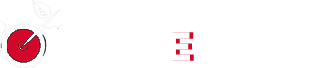 Light logo